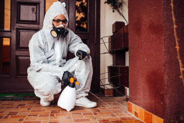 Reliable Wasp Removal contractor in Mocksville, NC by Show Me Pest Control
